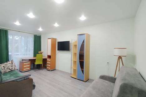 2-комнатная квартира в Череповце, ул. Химиков, 12
