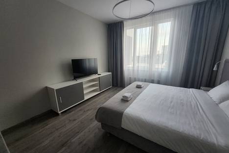 1-комнатная квартира в Санкт-Петербурге, Витебский пр-кт, 99к1