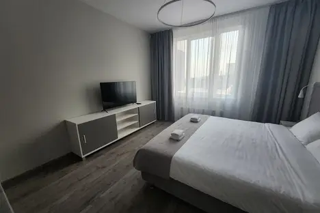 1-комнатная квартира в Санкт-Петербурге, Санкт-Петербург, Витебский пр-кт, 99к1