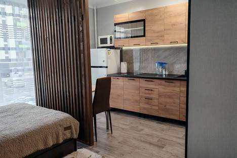 1-комнатная квартира в Челябинске, ул. Блюхера, 125Б