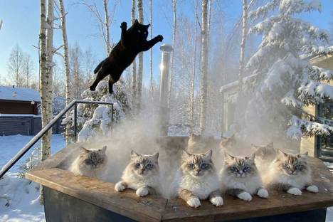 Дом в Московской области, Московская область, г.о. Клин, тер. ДНП Радости Парк 1, 283