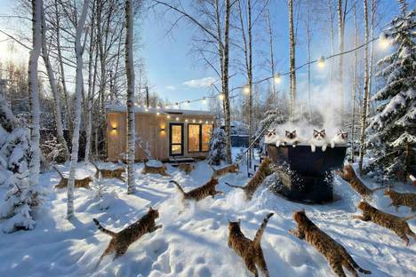 Дом в Московской области, Московская область, г.о. Клин, тер. ДНП Радости Парк 1, 283