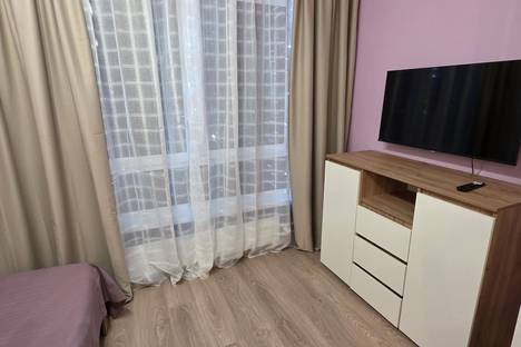 1-комнатная квартира в Новом Девяткино, Главная ул., 6к1