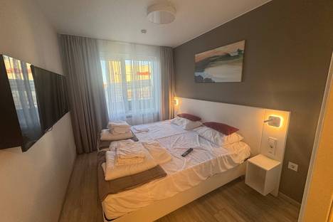 1-комнатная квартира в Санкт-Петербурге, ул. Салова, 61