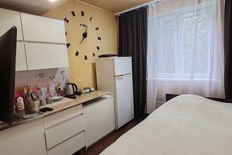 1-комнатная квартира в Дзержинске, ул. Ситнова, 10Б