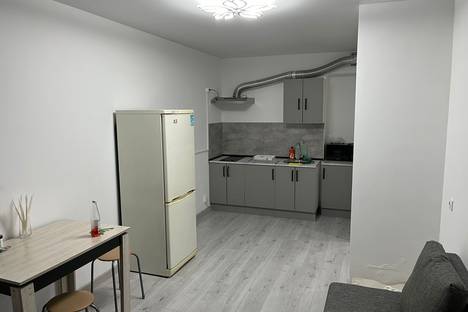 1-комнатная квартира в Татарстане, Татарстан, респ. Татарстан (Татарстан), Зеленодольский р-н , Осиновское с.п., с. Осиново, Спортивная ул., 5