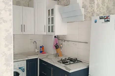 1-комнатная квартира в Светлогорске, Молодёжная ул., 11