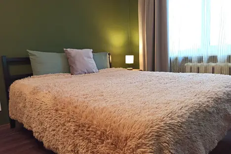 1-комнатная квартира в Петрозаводске, ул. Шотмана, 10