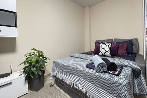 1-комнатная квартира в Минске, ул. Золотая Горка, 10