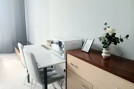 1-комнатная квартира в Ижевске, Ижевск, ул. Халтурина, 155