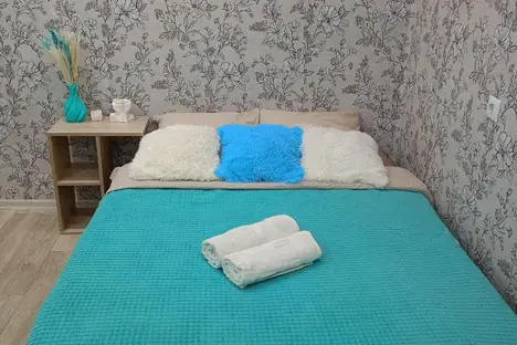 2-комнатная квартира в Казани, ул. Бурхана Шахиди, 1/15, м. Кремлевская