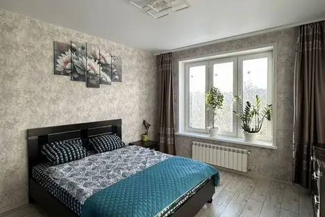 2-комнатная квартира в Нижнем Новгороде, ул. Тургенева, 25к1