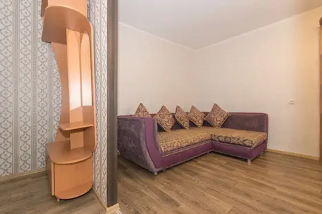 1-комнатная квартира в Новосибирске, Владимировская ул., 13