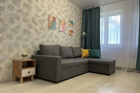 1-комнатная квартира в Тюмени, Тюмень, ул. Новосёлов, 103к1