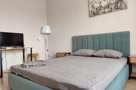 1-комнатная квартира в Иркутске, Байкальская ул., 244/3