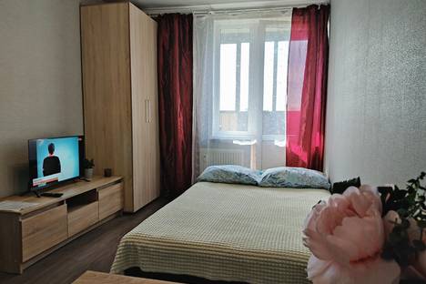 1-комнатная квартира в Мурино, Воронцовский б-р, 19к1