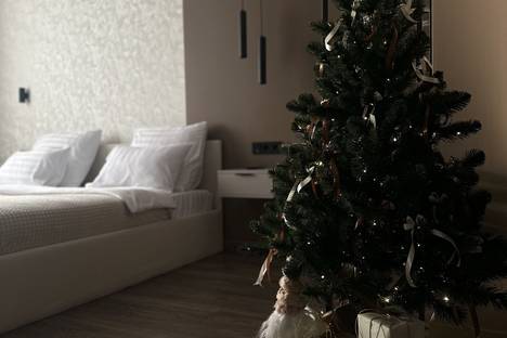 1-комнатная квартира в Новосибирске, Новосибирск, ЖК Марсель 2