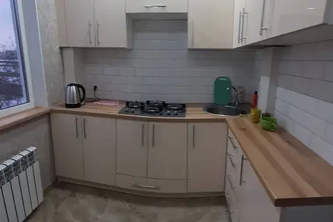 1-комнатная квартира в Дзержинске, Дзержинск, пр-кт Чкалова, 51А