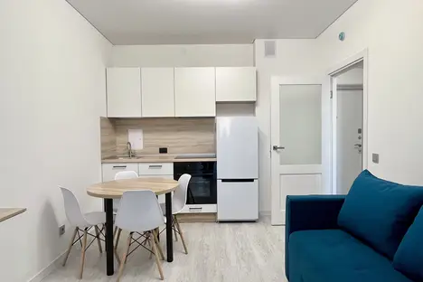 1-комнатная квартира в Санкт-Петербурге, Дальневосточный пр-кт, 23