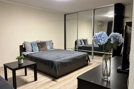 1-комнатная квартира в Самаре, Самара, Молодогвардейская ул., 236