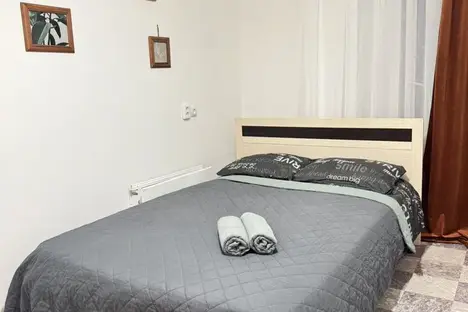 2-комнатная квартира в Новосибирске, Новосибирск, Выборная ул., 99/4