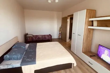 1-комнатная квартира в Воронеже, Острогожская ул., 170/3