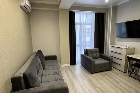 1-комнатная квартира в Сочи, Сочи, мкр. Мамайка, Волжская ул., 28