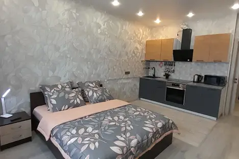 1-комнатная квартира в Новосибирске, ул. Виктора Уса, 4