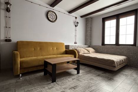 1-комнатная квартира в Дзержинске, Дзержинск, тер. Прибрежная, Окская наб., 19