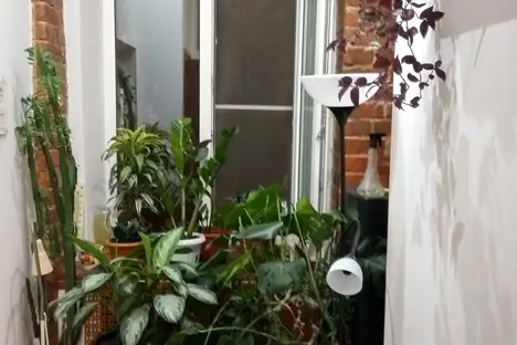 Комната в Москве, Большая Сухаревская пл., 16/18с2