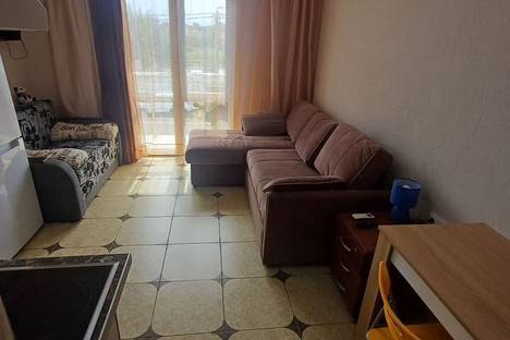 1-комнатная квартира в Сириусе, Весёлая ул., 28с1