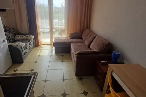 1-комнатная квартира в Сириусе, Весёлая ул., 28с1