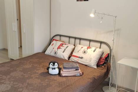 1-комнатная квартира в Санкт-Петербурге, Железнодорожный пр-кт, 14к3