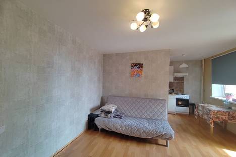 1-комнатная квартира в Парголове, ул. Фёдора Абрамова, 21к3