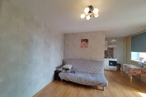 1-комнатная квартира в Парголове, ул. Фёдора Абрамова, 21к3