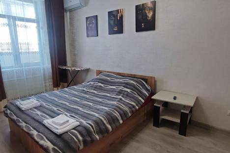 Однокомнатная квартира в аренду посуточно в Ставрополе по адресу ул. Чехова, 138
