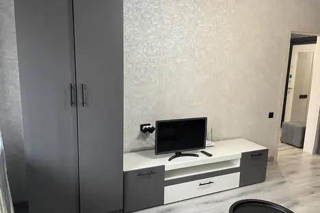 1-комнатная квартира в Нижнем Новгороде, ул. Дьяконова, 22А 1-комнатная квартира в Нижнем Новгороде, ул. Дьяконова, 22А