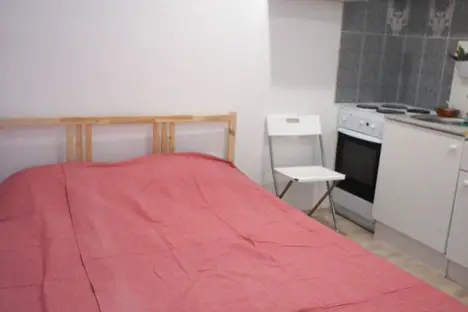 1-комнатная квартира в Санкт-Петербурге, Мартыновская ул., 14к1