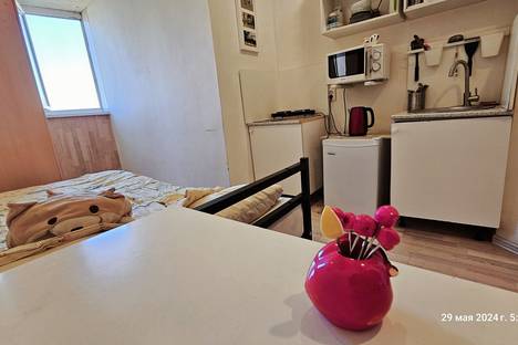 1-комнатная квартира в Санкт-Петербурге, Мартыновская ул., 14к1