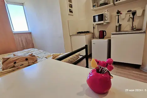 1-комнатная квартира в Санкт-Петербурге, Мартыновская ул., 14к1