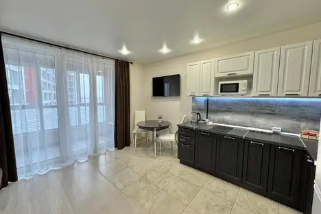 1-комнатная квартира в Новосибирске, ул. Немировича-Данченко, 148/1