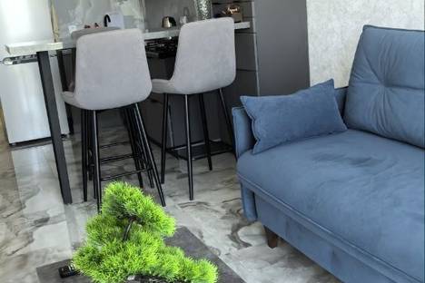 2-комнатная квартира во Владикавказе, ул. Зураба Магкаева, 2/2 2-комнатная квартира во Владикавказе, ул. Зураба Магкаева, 2/2