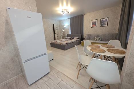 1-комнатная квартира в Нижнем Новгороде, Московское ш., 130 1-комнатная квартира в Нижнем Новгороде, Московское ш., 130