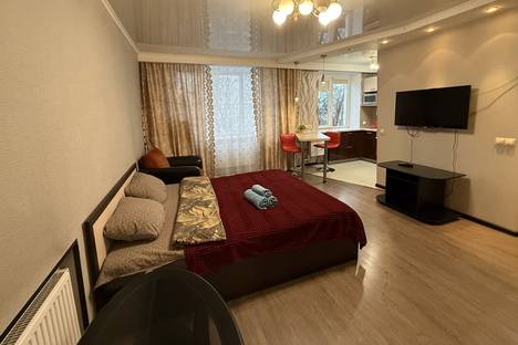 1-комнатная квартира в Мурманске, ул. Полярные Зори, 45к1