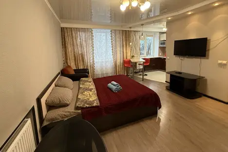 1-комнатная квартира в Мурманске, ул. Полярные Зори, 45к1