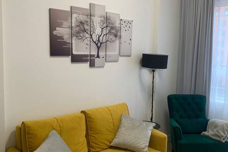 1-комнатная квартира в Москве, Москва, р-н  Троицк, 3-я Нововатутинская ул., 15к1