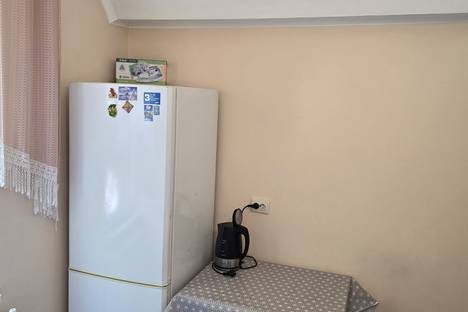 1-комнатная квартира в Кисловодске, ул. Гагарина, 28 1-комнатная квартира в Кисловодске, ул. Гагарина, 28