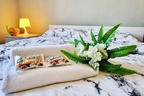 1-комнатная квартира в Санкт-Петербурге, Санкт-Петербург, Гаккелевская ул., 22к1