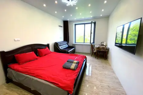 1-комнатная квартира в Санкт-Петербурге, ул. Савушкина, 104