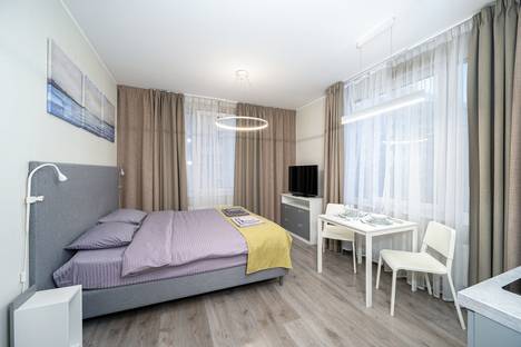 1-комнатная квартира в Санкт-Петербурге, Витебский пр-кт, 101к1